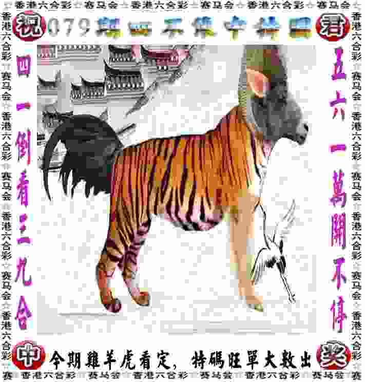 半岛V视｜舍逛街拍照时光，守绿茵场青春梦想，西海岸女足积极备战女甲联赛